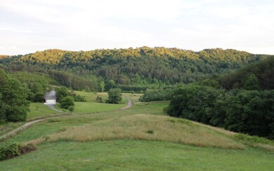 Additional View