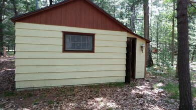 9156 S Taylor, Baldwin, MI 49304 - photo 7