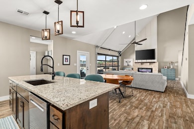 Kitchen with stainless steel dishwasher, wood fin