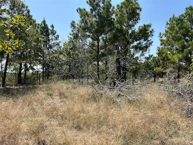 unlisted-address, Bastrop, TX 78602 - photo 2