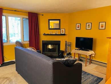 18 Windsor Hill Way unit 59, Waterville Valley, NH 03215 - photo 5