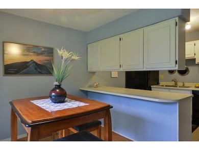 60 Twin Oaks Terrace, South Burlington, VT 05403 - photo 5