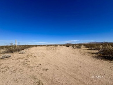 341-083-16 Redrock Inyokern Rd, Inyokern, CA 93527 - photo 3