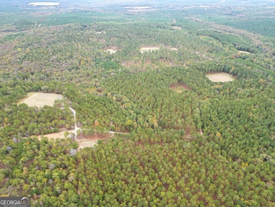 0 Fall Line High Fence unit 10648976, Ellaville, GA 31806 - photo 7