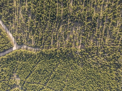 Lot 3 Lost Trails Rd, Big Sky, MT 59716 - photo 4