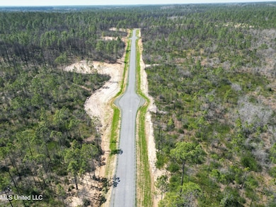 Parcel E Whitfield Dr, Kiln, MS 39556 - photo 4