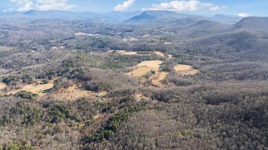 00 Zeb Buchanan Rd, Cullowhee, NC 28723 - photo 7