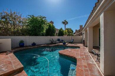 Back Yard Pool Area