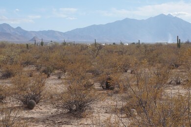 17821 S Wilmot Rd, Sahuarita, AZ 85629 - photo 6