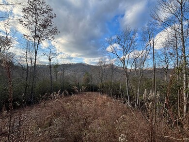 2.02 AC Viewforth Place, Topton, NC 28781 - photo 7