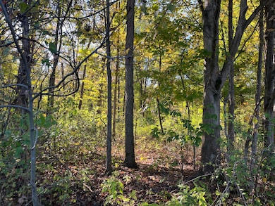 0 W Saint Joseph St, Lawrence, MI 49064 - photo 5