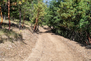 3039 pearce park rd, grants pass-04