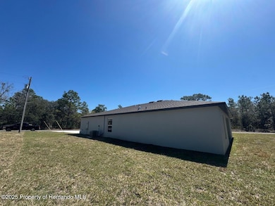 9610 N San Jose Way, Citrus Springs, FL 34433 - photo 3