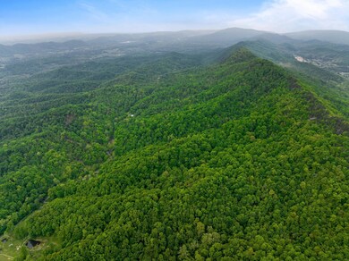 Tract 1 Sandy Valley Rd, Rogersville, TN 37857 - photo 6