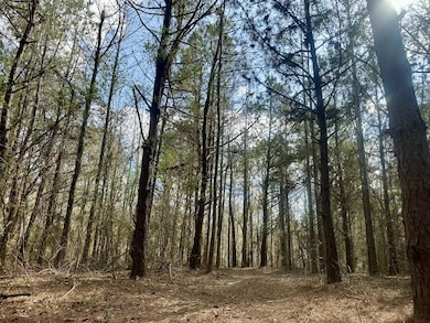 242 Dan George Rd, Mendenhall, MS 39114 - photo 3