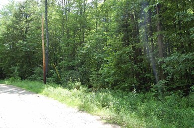 0 Stark Rd unit 4855768, Lempster, NH 03605 - photo 3