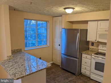 11528 Ivy Bush Ct, Reston, VA 20191 - photo 6