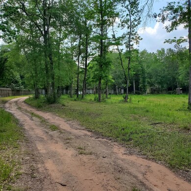 28115 Clint Neidgk Rd, Magnolia, TX 77354 - photo 4