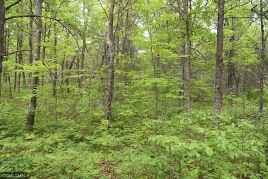 44863 State Highway 48, Hinckley, MN 55037 - photo 7