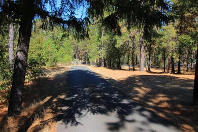 120 S Vannoy Creek Rd, Grants Pass, OR 97526 - photo 3