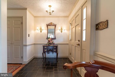 207 Circle View Rd, Luray, VA 22835 - photo 4