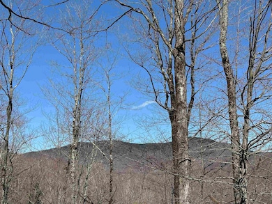 00 Ice Pond Rd, Chittenden, VT 05763 - photo 2