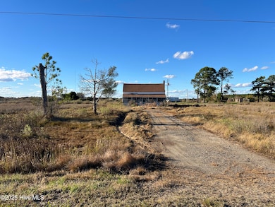 1507 White Plains Rd, Engelhard, NC 27824 - photo 3