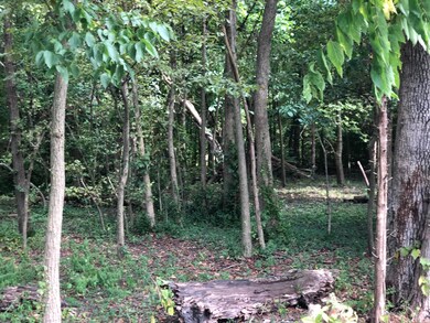 9105 Maple Rd, Louisville, KY 40229 - photo 3