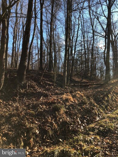 0 Swaim Ln unit WVMO108558, Berkeley Springs, WV 25411 - photo 4