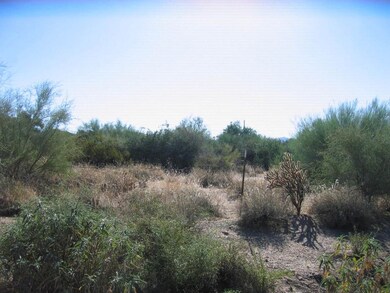Natural vegetation