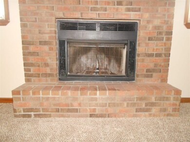 Wood burning fireplace.