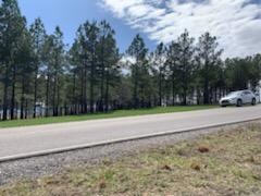 Lot 160 River Bluffs Dr, Jasper, TN 37347 - photo 6