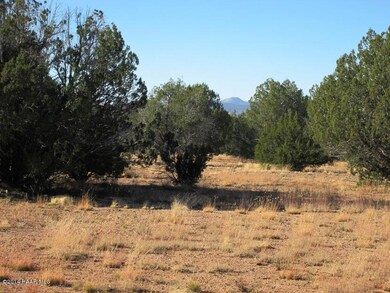 349130 No Name, Ash Fork, AZ 86320 - photo 4