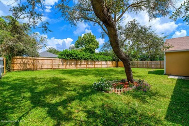 Large Backyard