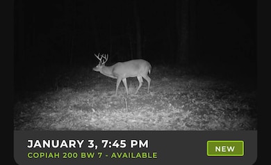 3 Pleasant Ln, Wesson, MS 39191 - photo 4