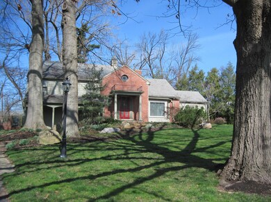 Another view