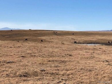 TBD Highway 24, Calhan, CO 80808 - photo 4