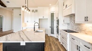 4911 Tin Top Rd, Weatherford, TX 76087 - photo 6