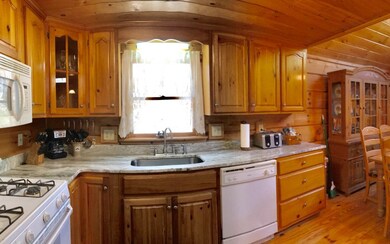 405 Donna Lee Ln, Mineral Bluff, GA 30559 - photo 4