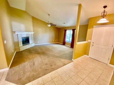 Platinum living 1