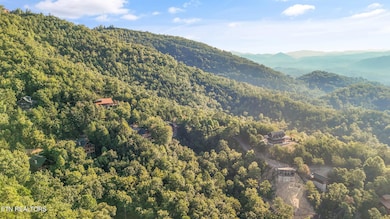 0 E Mountain View Way, Sevierville, TN 37876 - photo 5