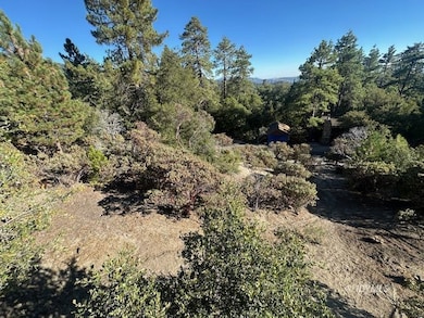 0 Howland Rd unit 2011137, Idyllwild, CA 92549 - photo 4