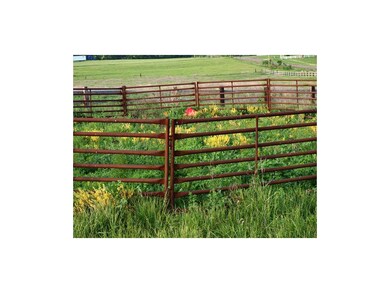 Corral panels setup next to pasture