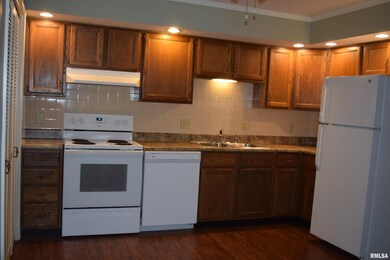 9 Eisenhower Dr, Jacksonville, IL 62650 - photo 7