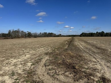 Tbd Shelley Road Coventry Rd, Nichols, SC 29581 - photo 6