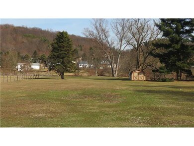 Yard/Garden. the back yard is level and large.  St
