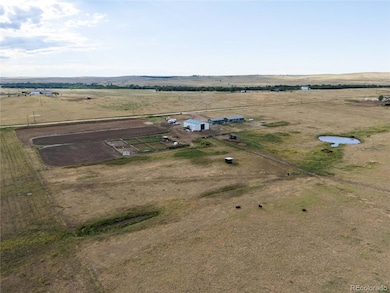 26540 Flower Cir, Simla, CO 80835 - photo 5