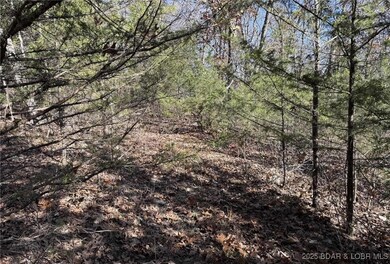 11.8 Acres Whitetail Way, Cole Township, MO 65338 - photo 7