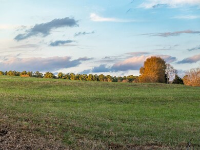 04 Concord Church Rd unit 4, Pickens, SC 29671 - photo 4