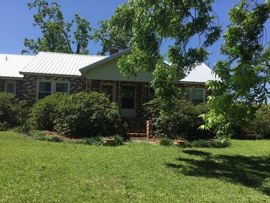 7263 Lodgetown Rd, Pelham, GA 31779 - photo 2